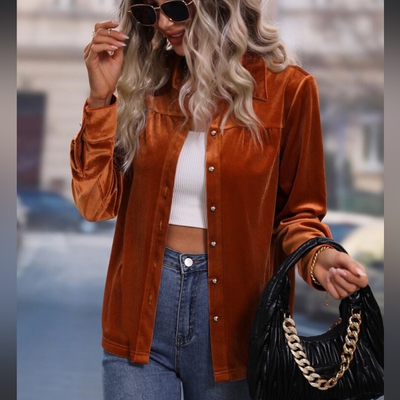 Luxe Velvet Button Down Shirt Top Blouse Rust - Picture 3 of 17